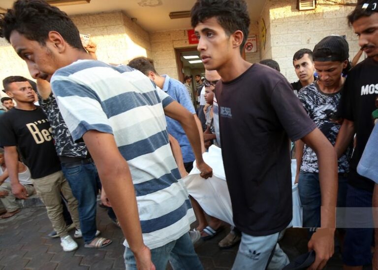 %d8%a7%d8%b1%d8%aa%d9%81%d8%a7%d8%b9 %d8%b9%d8%af%d8%af %d8%a7%d9%84%d8%b4%d9%87%d8%af%d8%a7%d8%a1 %d8%a7%d9%84%d9%81%d9%84%d8%b3%d8%b7%d9%8a%d9%86%d9%8a%d9%8a%d9%86 %d9%81%d9%8a %d9%82%d8%b7%d8%a7