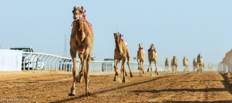 %d8%a7%d9%84%d8%b3%d8%b9%d9%88%d8%af%d9%8a%d8%a9 %d9%88%d8%a7%d9%84%d8%a5%d9%85%d8%a7%d8%b1%d8%a7%d8%aa %d8%aa%d8%aa%d8%b5%d8%af%d8%b1%d8%a7%d9%86 %d8%aa%d8%ad%d8%af%d9%8a %d8%a7%d9%84%d8%ac%d8%b0