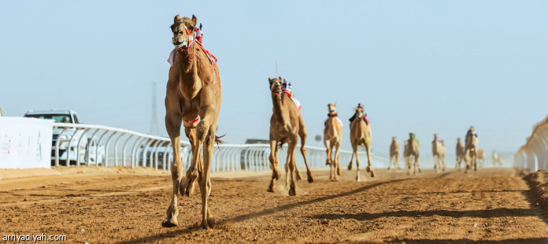 %d8%a7%d9%84%d8%b3%d8%b9%d9%88%d8%af%d9%8a%d8%a9 %d9%88%d8%a7%d9%84%d8%a5%d9%85%d8%a7%d8%b1%d8%a7%d8%aa %d8%aa%d8%aa%d8%b5%d8%af%d8%b1%d8%a7%d9%86 %d8%aa%d8%ad%d8%af%d9%8a %d8%a7%d9%84%d8%ac%d8%b0