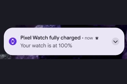 %d8%ac%d9%85%d9%8a%d8%b9 %d8%a5%d8%b5%d8%af%d8%a7%d8%b1%d8%a7%d8%aa Pixel Watch %d8%aa%d8%ad%d8%b5%d9%84 %d8%b9%d9%84%d9%89 %d9%85%d9%8a%d8%b2%d8%a9 %d8%a5%d8%b4%d8%b9%d8%a7%d8%b1 %d8%a7%d9%84%d8%a8
