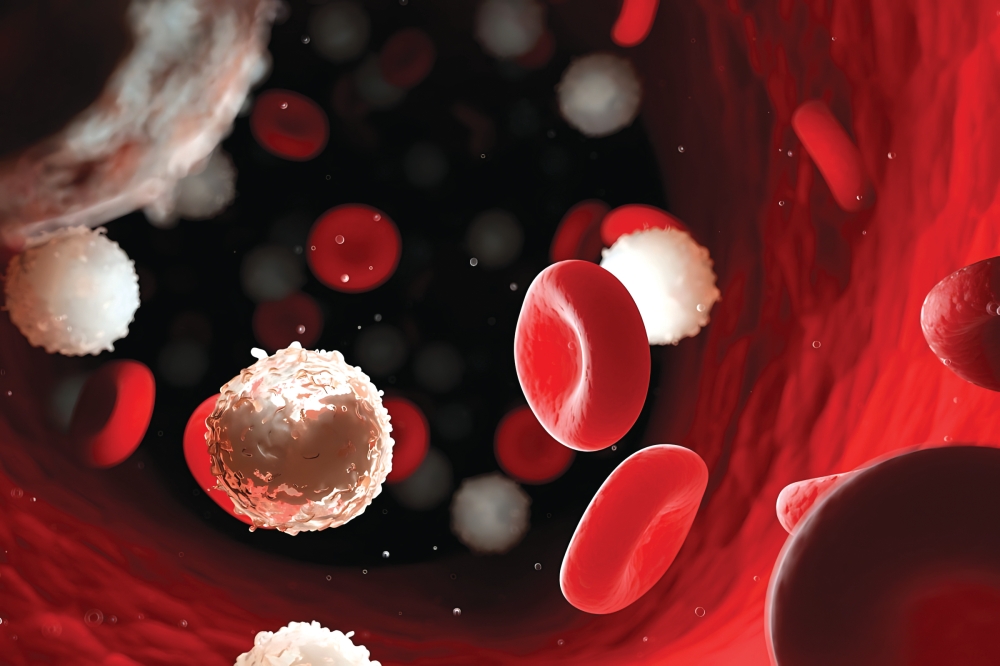 %d9%85%d8%b4%d8%b1%d9%88%d8%b9 %d8%ac%d8%af%d9%8a%d8%af %d9%8a%d8%ad%d8%b3%d9%86 %d9%85%d8%b9%d8%af%d9%84%d8%a7%d8%aa %d8%a7%d9%84%d8%b4%d9%81%d8%a7%d8%a1 %d9%84%d9%85%d8%b1%d8%b6%d9%89 %d8%b3%d8%b1