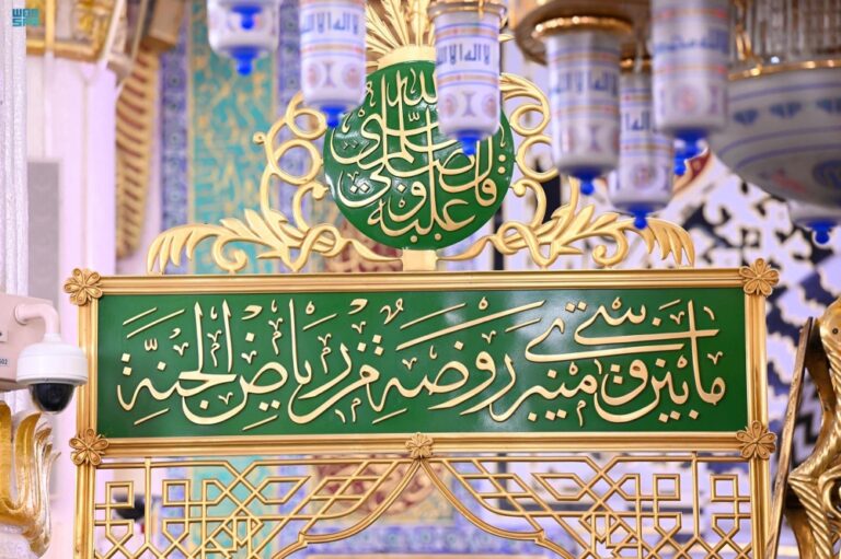 %d8%a7%d9%84%d8%ad%d8%ac %d9%88%d8%a7%d9%84%d8%b9%d9%85%d8%b1%d8%a9 %d8%aa%d8%b5%d8%b1%d9%8a%d8%ad %d8%b2%d9%8a%d8%a7%d8%b1%d8%a9 %d8%a7%d9%84%d8%b1%d9%88%d8%b6%d8%a9 %d8%a7%d9%84%d8%b4%d8%b1%d9%8a