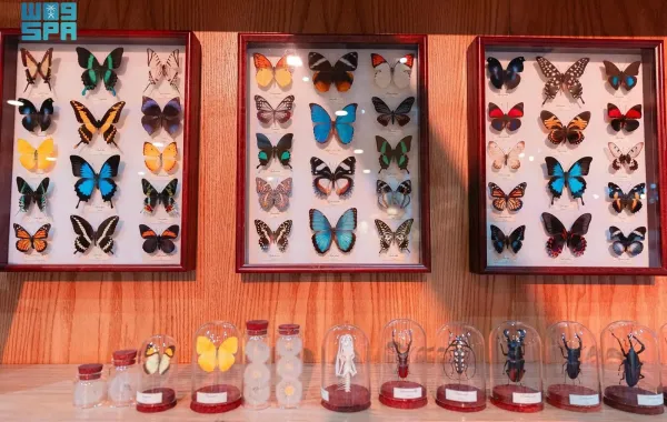 %d9%81%d8%b1%d8%a7%d8%b4%d8%a7%d8%aa %d9%86%d8%a7%d8%af%d8%b1%d8%a9 %d9%85%d9%86 3 %d9%82%d8%a7%d8%b1%d8%a7%d8%aa %d8%a8%d9%85%d8%b9%d8%b1%d8%b6 %d8%a7%d9%84%d8%b5%d9%82%d9%88%d8%b1 %d8%aa%d8%b9