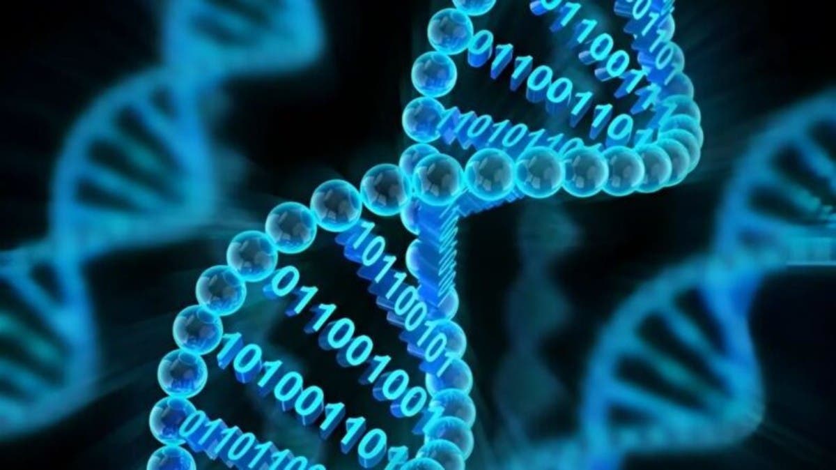 %d8%a7%d8%a8%d8%aa%d9%83%d8%a7%d8%b1 %d8%ac%d8%af%d9%8a%d8%af %d8%aa%d8%ae%d8%b2%d9%8a%d9%86 %d8%a7%d9%84%d8%a8%d9%8a%d8%a7%d9%86%d8%a7%d8%aa %d9%81%d9%8a %d8%a7%d9%84%d8%ad%d9%85%d8%b6 %d8%a7%d9%84