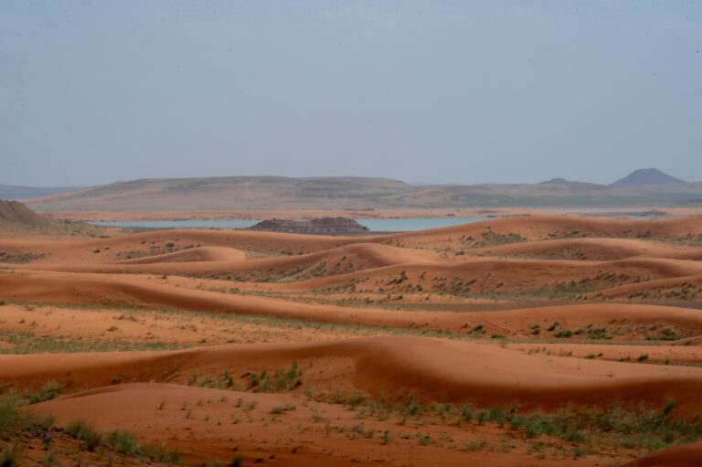 %d9%85%d8%ad%d9%85%d9%8a%d8%a9 %d8%a7%d9%84%d9%85%d9%84%d9%83 %d8%b3%d9%84%d9%85%d8%a7%d9%86 %d8%aa%d9%86%d8%b6%d9%85 %d8%a5%d9%84%d9%89 %d8%a7%d9%84%d9%82%d8%a7%d8%a6%d9%85%d8%a9 %d8%a7%d9%84