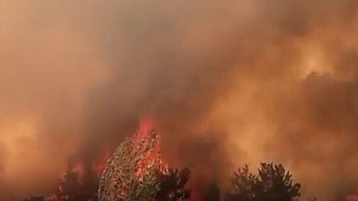 %d8%b2%d9%8a%d8%a7%d8%af%d8%a9 %d8%ad%d8%b1%d8%a7%d8%a6%d9%82 %d8%a7%d9%84%d8%ba%d8%a7%d8%a8%d8%a7%d8%aa %d8%a8%d8%b3%d8%a8%d8%a8 %d8%a7%d9%84%d8%a7%d8%ad%d8%aa%d8%a8%d8%a7%d8%b3 %d8%a7%d9%84%d8%ad