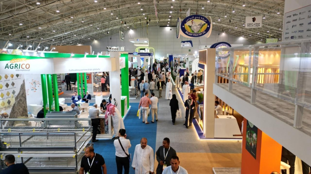 %d9%8a%d9%86%d8%b7%d9%84%d9%82 %d8%a7%d9%84%d9%8a%d9%88%d9%85 %d8%ae%d8%a8%d8%b1%d8%a7%d8%a1 %d9%85%d9%86 29 %d8%af%d9%88%d9%84%d8%a9 %d9%81%d9%8a %d8%a7%d9%84%d9%85%d8%b9%d8%b1%d8%b6 %d8%a7%d9%84