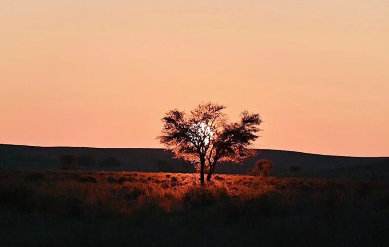 %d9%85%d8%ad%d9%85%d9%8a%d8%a9 %d8%a7%d9%84%d8%a5%d9%85%d8%a7%d9%85 %d8%aa%d8%b1%d9%83%d9%8a %d8%a8%d9%86 %d8%b9%d8%a8%d8%af%d8%a7%d9%84%d9%84%d9%87 %d8%a7%d9%84%d9%85%d9%84%d9%83%d9%8a%d8%a9 %d8%aa