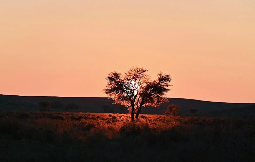 %d9%85%d8%ad%d9%85%d9%8a%d8%a9 %d8%a7%d9%84%d8%a5%d9%85%d8%a7%d9%85 %d8%aa%d8%b1%d9%83%d9%8a %d8%a8%d9%86 %d8%b9%d8%a8%d8%af%d8%a7%d9%84%d9%84%d9%87 %d8%a7%d9%84%d9%85%d9%84%d9%83%d9%8a%d8%a9 %d8%aa