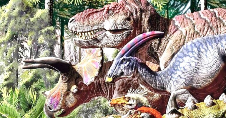 %d8%ac%d8%a7%d9%85%d8%b9%d8%a9 %d8%a3%d8%b3%d9%83%d8%aa%d9%84%d9%86%d8%af%d9%8a%d8%a9 %d9%87%d9%83%d8%b0%d8%a7 %d8%a7%d9%86%d9%82%d8%b1%d8%b6%d8%aa %d8%a7%d9%84%d8%af%d9%8a%d9%86%d8%a7%d8%b5%d9%88