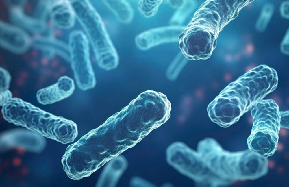 %d8%a8%d8%b9%d8%af %d9%88%d9%81%d8%a7%d8%a9 100 %d8%b7%d9%81%d9%84 %d9%81%d9%8a %d8%a8%d8%a7%d9%83%d8%b3%d8%aa%d8%a7%d9%86 %d9%85%d8%a7 %d9%85%d8%b1%d8%b6 %d8%a7%d9%84%d8%af%d9%81%d8%aa%d9%8a