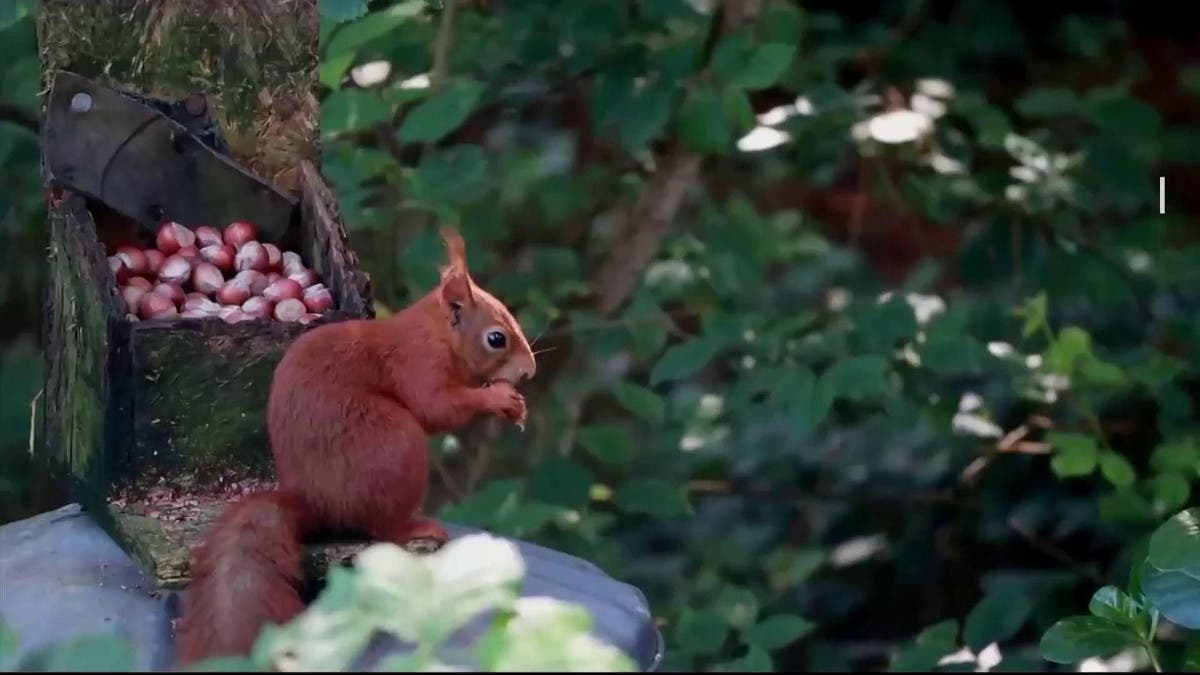 %d8%a7%d9%84%d8%b9%d9%8a%d9%88%d9%86 %d8%a7%d9%84%d8%b0%d9%83%d9%8a%d8%a9 %d8%a7%d9%84%d8%b5%d9%8a%d9%86 %d8%aa%d8%b7%d9%88%d8%b1 %d9%86%d8%b8%d8%a7%d9%85 %d8%b0%d9%83%d8%a7%d8%a1 %d8%a7%d8%b5