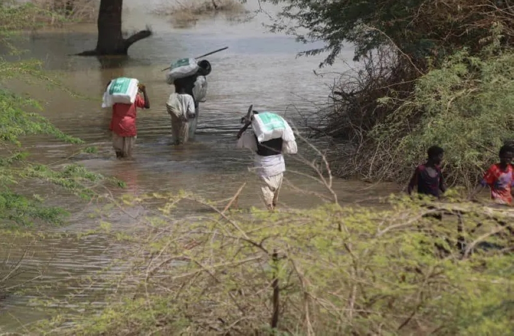 %d9%84%d9%84%d8%ad%d8%af %d9%85%d9%86 %d8%a7%d9%84%d9%83%d9%88%d8%a7%d8%b1%d8%ab %d8%ac%d9%87%d9%88%d8%af %d8%b3%d8%b9%d9%88%d8%af%d9%8a%d8%a9 %d9%85%d9%83%d8%ab%d9%81%d8%a9 %d9%84%d8%a5%d8%ba%d8%a7