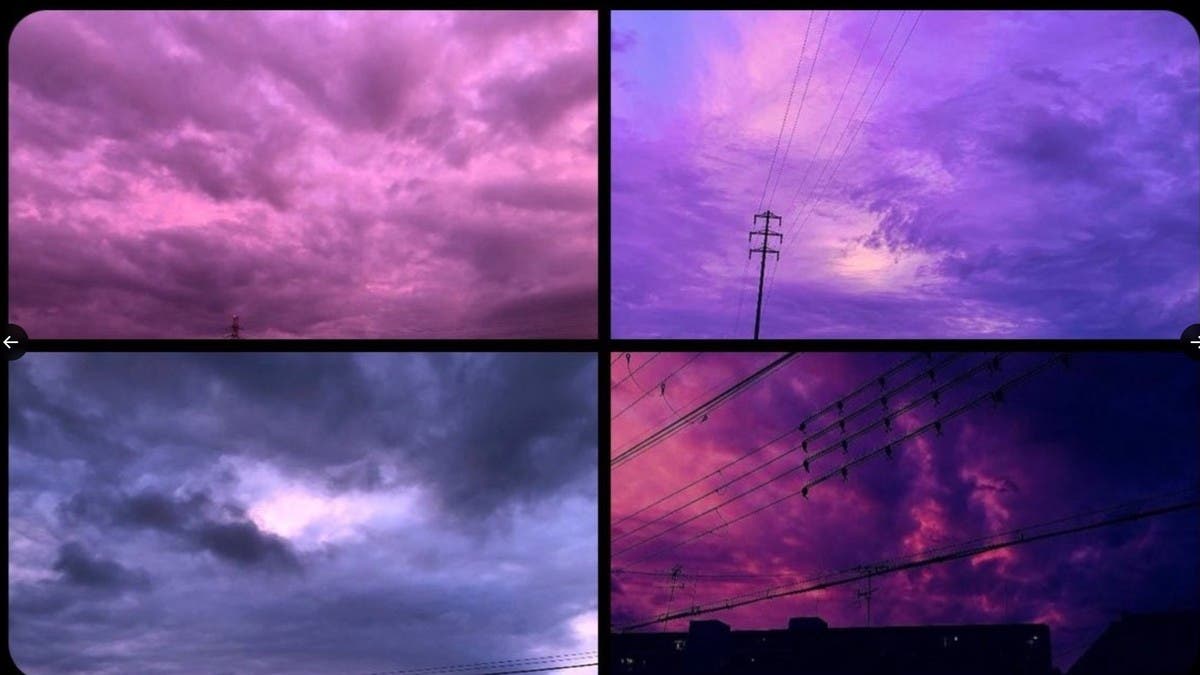 %d8%b8%d8%a7%d9%87%d8%b1%d8%a9 %d8%b3%d8%a7%d8%ad%d8%b1%d8%a9 %d8%a3%d9%82%d9%84%d9%82%d8%aa %d8%b3%d9%83%d8%a7%d9%86 %d9%81%d9%84%d9%88%d8%b1%d9%8a%d8%af%d8%a7 %d9%84%d9%85%d8%a7%d8%b0%d8%a7