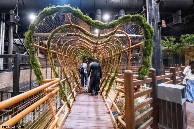 %d8%ac%d8%b3%d9%88%d8%b1 %d9%88%d8%a3%d9%86%d9%81%d8%a7%d9%82 %d8%aa%d8%ac%d8%b0%d8%a8 %d8%b2%d9%88%d8%a7%d8%b1 %d8%ba%d8%a7%d8%a8%d8%a9 %d8%a7%d9%84%d8%a8%d9%88%d9%84%d9%8a%d9%81%d8%a7%d8%b1%d8%af