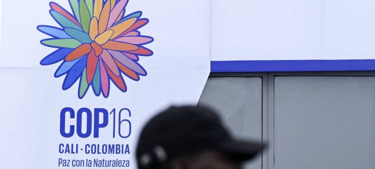 %d8%a3%d9%83%d8%a8%d8%b1 %d8%aa%d8%ac%d9%85%d8%b9 %d8%b9%d8%a7%d9%84%d9%85%d9%8a %d9%84%d9%84%d8%ad%d9%81%d8%a7%d8%b8 %d8%b9%d9%84%d9%89 %d8%a7%d9%84%d8%b7%d8%a8%d9%8a%d8%b9%d8%a9 %d9%85%d8%a7%d8%b0