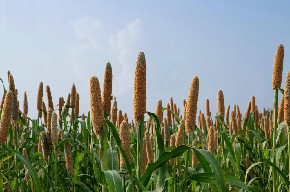 %d9%83%d8%a7%d9%88%d8%b3%d8%aa %d8%af%d8%b1%d8%a7%d8%b3%d8%a9 %d8%aa%d8%b8%d9%87%d8%b1 %d9%88%d8%ac%d9%88%d8%af %d8%ac%d9%8a%d9%86 %d9%8a%d8%b1%d9%81%d8%b9 %d9%82%d8%af%d8%b1%d8%a9 %d8%a7%d9%84