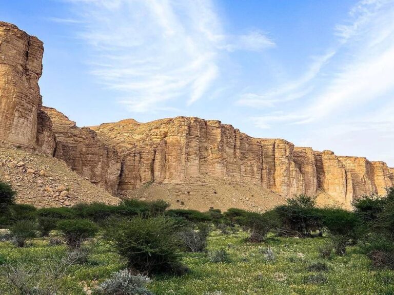 %d9%84%d9%90%d9%85%d9%8e %d9%8a%d8%aa%d8%ad%d8%af%d9%91%d8%ab %d8%a7%d9%84%d8%ac%d9%85%d9%8a%d8%b9 %d8%a7%d9%84%d8%a2%d9%86 %d8%b9%d9%86 %d9%85%d8%ad%d9%85%d9%8a%d8%a9 %d8%a7%d9%84%d9%88%d8%b9%d9%88