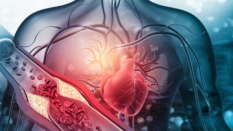 %d9%84%d8%aa%d8%ac%d9%86%d8%a8 %d8%a7%d9%84%d9%86%d9%88%d8%a8%d8%a7%d8%aa %d8%a7%d9%84%d9%82%d9%84%d8%a8%d9%8a%d8%a9 %d9%88%d8%a7%d9%84%d8%aa%d8%ad%d9%83%d9%85 %d8%a8%d8%a7%d9%84%d8%b6%d8%ba%d8%b7 8