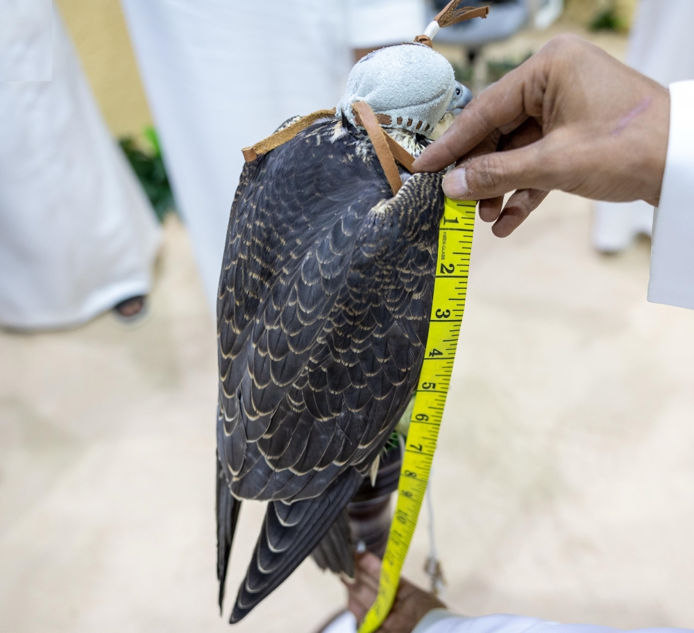 %d8%a7%d9%84%d9%84%d9%8a%d9%84%d8%a9 %d8%a7%d9%84%d8%b9%d8%a7%d8%b4%d8%b1%d8%a9 %d8%a8%d9%8a%d8%b9 %d8%b5%d9%82%d8%b1%d9%8a%d9%86 %d8%a8%d8%a3%d9%83%d8%ab%d8%b1 %d9%85%d9%86 300 %d8%a3%d9%84%d9%81