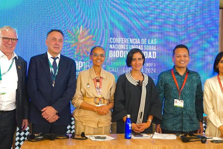 %d8%b1%d8%b2%d8%a7%d9%86 %d8%a7%d9%84%d9%85%d8%a8%d8%a7%d8%b1%d9%83 %d8%aa%d8%af%d8%b9%d9%88 %d9%84%d8%aa%d8%a8%d9%86%d9%8a %d8%a7%d9%84%d9%85%d8%b2%d9%8a%d8%af %d9%85%d9%86 %d8%a7%d9%84%d8%ad%d9%84