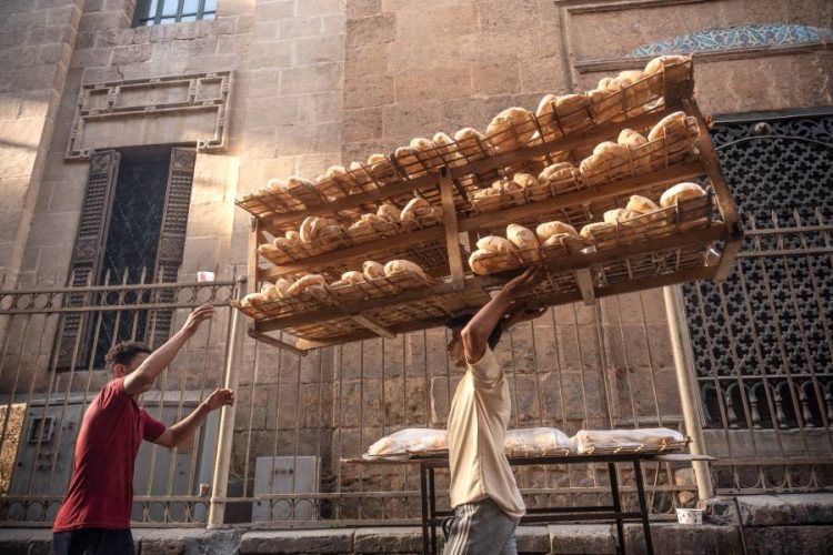 %d8%ad%d9%82%d9%8a%d9%82%d8%a9 %d8%b1%d9%81%d8%b9 %d8%b3%d8%b9%d8%b1 %d8%b1%d8%ba%d9%8a%d9%81 %d8%a7%d9%84%d8%ae%d8%a8%d8%b2 %d9%81%d9%8a %d9%85%d8%b5%d8%b1 %d8%a8%d8%b9%d8%af %d8%b2%d9%8a%d8%a7%d8%af