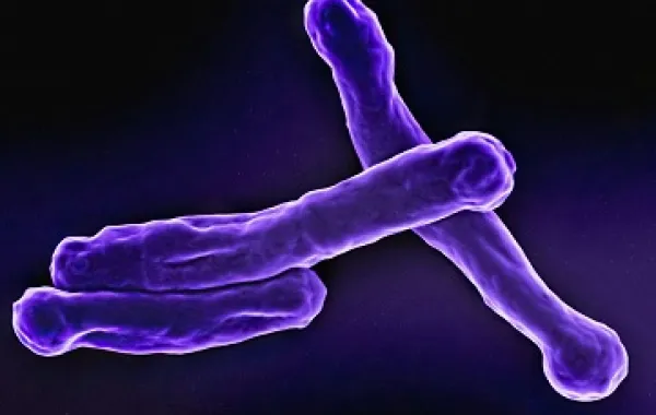 %d8%a7%d9%84%d8%b5%d8%ad%d8%a9 %d8%a7%d9%84%d8%b9%d8%a7%d9%84%d9%85%d9%8a%d8%a9 %d8%aa%d8%ad%d8%b0%d8%b1 %d9%85%d9%86 %d8%aa%d9%81%d8%b4%d9%8a %d9%85%d8%b1%d8%b6 %d9%85%d8%b9%d8%af%d9%8a %d9%85%d8%aa