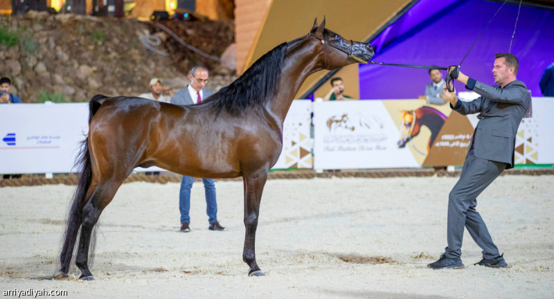 %d8%a7%d9%84%d8%ae%d9%85%d9%8a%d8%b3 %d8%ad%d8%a7%d8%a6%d9%84 %d8%aa%d8%b3%d8%aa%d9%82%d8%a8%d9%84 %d8%af%d9%88%d9%84%d9%8a%d8%a9 %d8%a7%d9%84%d8%ae%d9%8a%d9%84