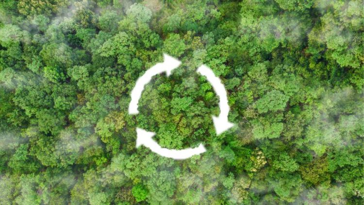 %d8%a5%d8%aa%d9%85%d8%a7%d9%85 %d8%a3%d9%88%d9%84 %d8%b5%d9%81%d9%82%d8%a9 %d9%84%d8%a8%d9%8a%d8%b9 %d9%88%d8%ad%d8%af%d8%a7%d8%aa %d8%a7%d9%84%d9%83%d8%b1%d8%a8%d9%88%d9%86 %d8%a7%d9%84%d8%b1%d9%88