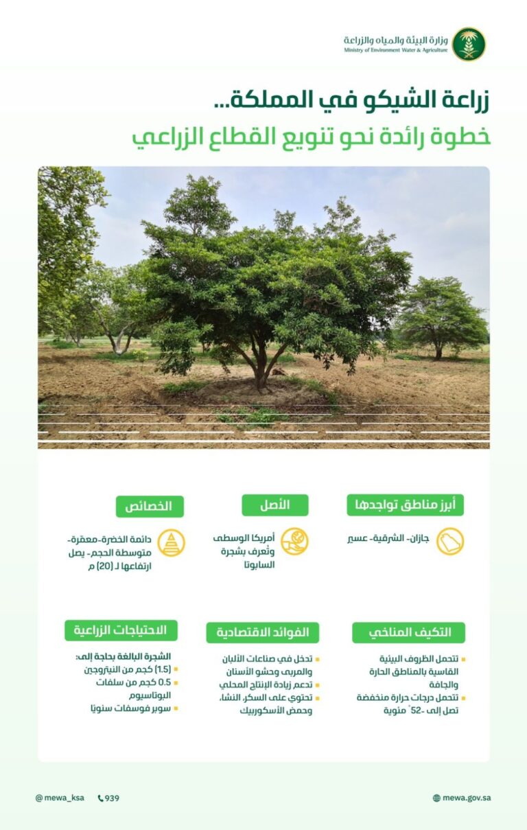 %d8%a7%d9%84%d8%a8%d9%8a%d8%a6%d8%a9 %d8%a7%d9%86%d8%aa%d8%b4%d8%a7%d8%b1 %d8%a3%d8%b4%d8%ac%d8%a7%d8%b1 %d8%a7%d9%84%d8%b4%d9%8a%d9%83%d9%88 %d8%a8%d8%a7%d9%84%d9%85%d9%85%d9%84%d9%83%d8%a9