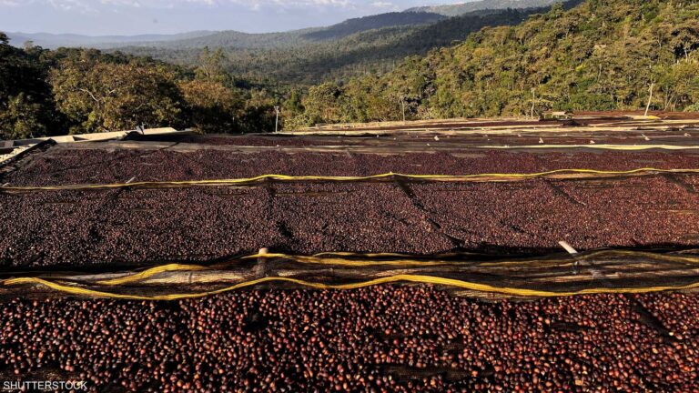 %d8%a7%d9%84%d8%b9%d9%82%d9%88%d8%af %d8%a7%d9%84%d8%a2%d8%ac%d9%84%d8%a9 %d9%84%d9%84%d9%82%d9%87%d9%88%d8%a9 %d8%aa%d8%b1%d8%aa%d9%81%d8%b9 %d8%a5%d9%84%d9%89 %d8%a3%d8%b9%d9%84%d9%89 %d9%85%d8%b3