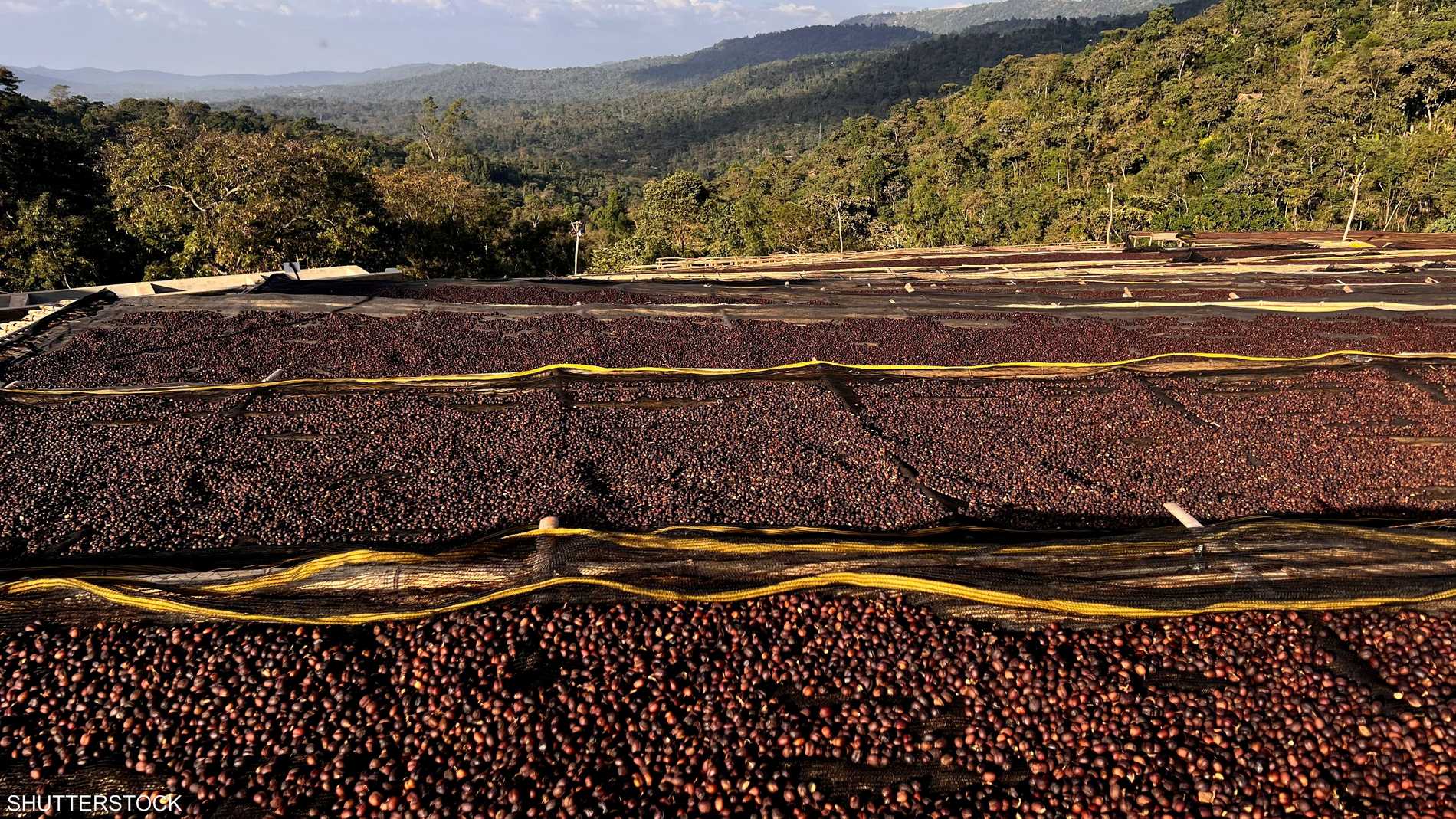 %d8%a7%d9%84%d8%b9%d9%82%d9%88%d8%af %d8%a7%d9%84%d8%a2%d8%ac%d9%84%d8%a9 %d9%84%d9%84%d9%82%d9%87%d9%88%d8%a9 %d8%aa%d8%b1%d8%aa%d9%81%d8%b9 %d8%a5%d9%84%d9%89 %d8%a3%d8%b9%d9%84%d9%89 %d9%85%d8%b3