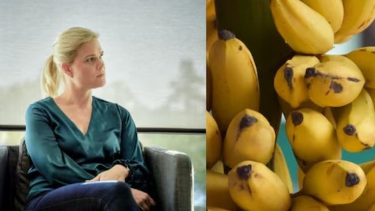 %d8%a7%d9%84%d9%85%d9%88%d8%b2 %d9%85%d9%85%d9%86%d9%88%d8%b9 %d9%81%d9%8a %d8%ba%d8%b1%d9%81%d8%a9 %d9%88%d8%b2%d9%8a%d8%b1%d8%a9 %d8%b3%d9%88%d9%8a%d8%af%d9%8a%d8%a9 %d8%a3%d8%ba%d8%b1%d8%a8