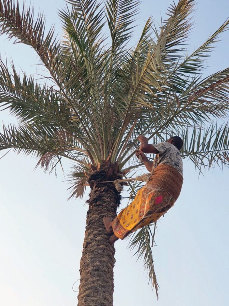 %d9%84%d8%b9%d9%85%d8%a7%d9%84 %d8%a7%d9%84%d8%b2%d8%b1%d8%a7%d8%b9%d8%a9 %d9%88%d8%a7%d9%84%d8%b1%d8%b9%d8%a7%d8%a9 %d8%a5%d8%ac%d8%a7%d8%b2%d8%a9 30 %d9%8a%d9%88%d9%85%d9%8b%d8%a7 %d9%83%d9%84