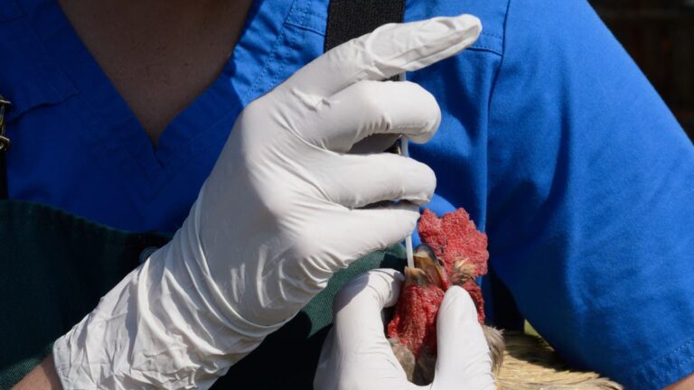 %d8%a8%d8%b9%d8%af %d8%a3%d9%85%d9%8a%d8%b1%d9%83%d8%a7 %d9%83%d9%86%d8%af%d8%a7 %d8%aa%d8%b1%d8%b5%d8%af %d8%a3%d9%88%d9%84 %d8%a5%d8%b5%d8%a7%d8%a8%d8%a9 %d8%a8%d8%b4%d8%b1%d9%8a%d8%a9 %d8%a8