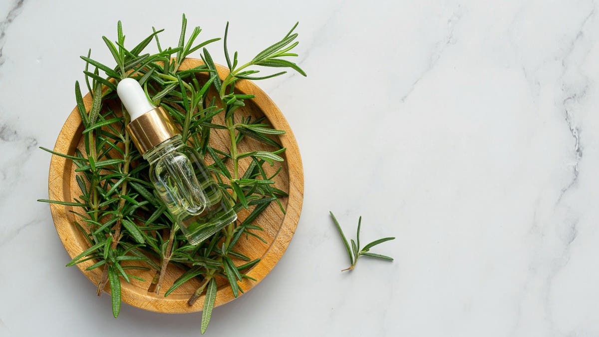 %d9%85%d8%a7%d8%a1 %d8%a7%d9%84%d8%b1%d9%88%d8%b2%d9%85%d8%a7%d8%b1%d9%8a %d9%87%d9%84 %d9%8a%d8%b3%d8%a7%d8%b9%d8%af %d9%81%d8%b9%d9%84%d8%a7%d9%8b %d9%81%d9%8a %d9%86%d9%85%d9%88 %d8%a7%d9%84