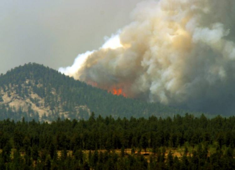 %d8%a7%d9%84%d8%a7%d8%aa%d8%ad%d8%a7%d8%af %d8%a7%d9%84%d8%a3%d9%88%d8%b1%d9%88%d8%a8%d9%8a 2024 %d8%a7%d9%84%d8%b9%d8%a7%d9%85 %d8%a7%d9%84%d8%a3%d8%b9%d9%84%d9%89 %d8%ad%d8%b1%d8%a7%d8%b1%d8%a9