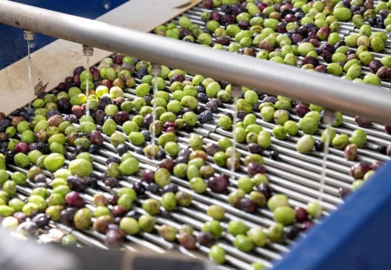 %d8%a7%d9%84%d8%ac%d9%88%d9%81 %d8%aa%d8%a8%d8%af%d8%a3 %d9%85%d9%88%d8%b3%d9%85 %d8%b9%d8%b5%d8%b1 %d8%a7%d9%84%d8%b2%d9%8a%d8%aa%d9%88%d9%86