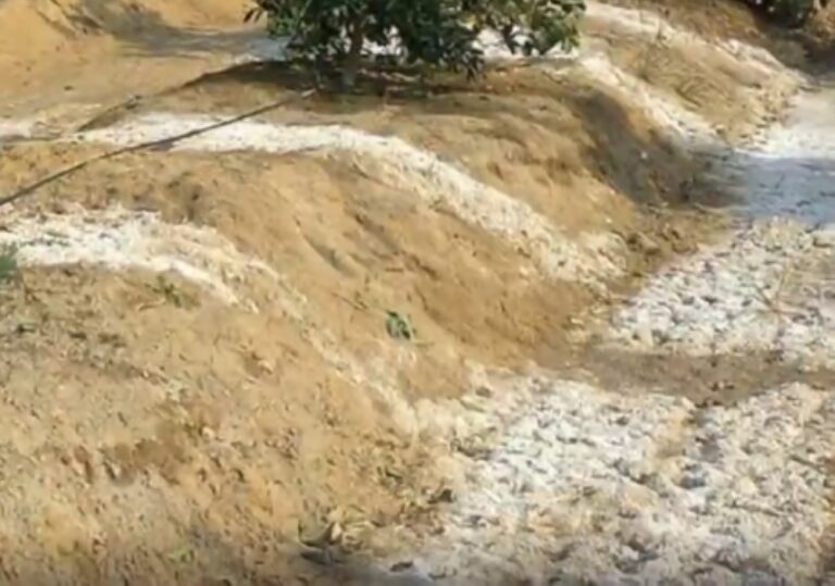 %d8%a7%d9%84%d8%b2%d8%b1%d8%a7%d8%b9%d8%a9 %d8%aa%d9%88%d8%b5%d9%8a %d8%a8%d8%b1%d9%8a %d8%a7%d9%84%d9%85%d8%ad%d8%a7%d8%b5%d9%8a%d9%84 %d8%a8%d8%b9%d8%af %d8%a7%d9%84%d8%a3%d9%85%d8%b7%d8%a7