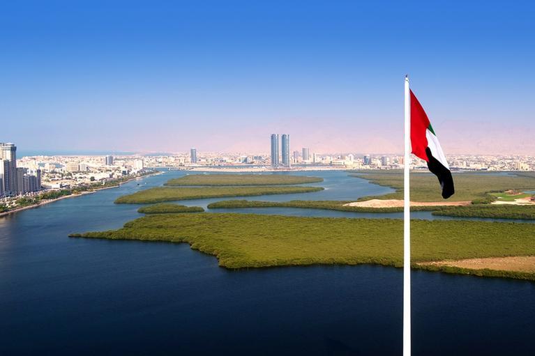 %d8%b1%d8%a3%d8%b3 %d8%a7%d9%84%d8%ae%d9%8a%d9%85%d8%a9 %d8%aa%d8%aa%d8%b5%d8%af%d8%b1 %d9%82%d8%a7%d8%a6%d9%85%d8%a9 %d8%a3%d9%81%d8%b6%d9%84 %d9%85%d8%af%d9%86 %d8%a7%d9%84%d8%b9%d8%a7%d9%84%d9%85