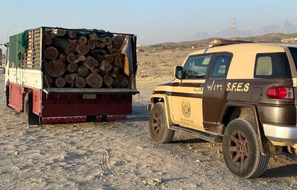 %d8%a7%d9%84%d8%a3%d9%85%d9%86 %d8%a7%d9%84%d8%a8%d9%8a%d8%a6%d9%8a %d9%8a%d8%ad%d8%a8%d8%b7 %d9%85%d8%ad%d8%a7%d9%88%d9%84%d8%a9 %d9%86%d9%82%d9%84 %d8%ad%d8%b7%d8%a8 %d9%85%d8%ad%d9%84%d9%8a