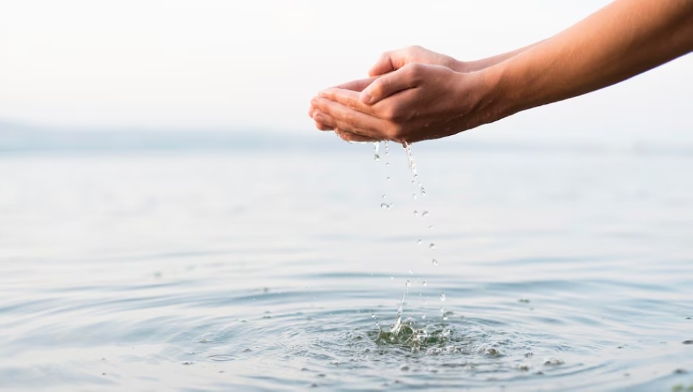 %d8%a7%d9%84%d9%85%d9%85%d9%84%d9%83%d8%a9 %d8%aa%d8%a4%d9%83%d8%af %d8%a3%d9%87%d9%85%d9%8a%d8%a9 %d8%aa%d8%b9%d8%b2%d9%8a%d8%b2 %d8%a7%d9%84%d8%aa%d8%b9%d8%a7%d9%88%d9%86 %d8%a7%d9%84%d8%af%d9%88