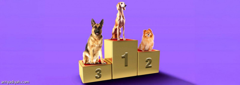 2 %d8%af%d9%8a%d8%b3%d9%85%d8%a8%d8%b1 %d9%85%d9%87%d8%b1%d8%ac%d8%a7%d9%86 %d8%a7%d9%84%d9%83%d9%84%d8%a7%d8%a8 %d9%8a%d8%b9%d9%88%d8%af %d9%81%d9%8a %d9%85%d9%88%d8%b3%d9%85 %d8%a7