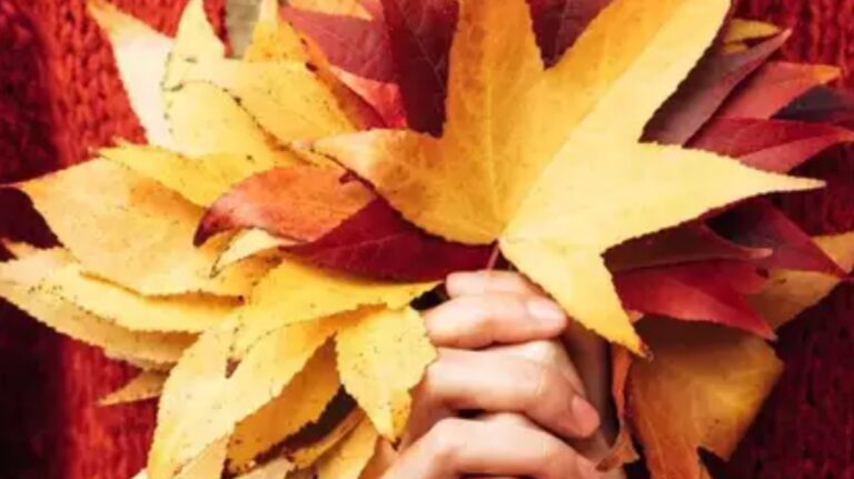 %d8%ad%d8%af%d8%af %d9%84%d9%88%d9%86%d9%83 %d8%a7%d9%84%d9%85%d9%81%d8%b6%d9%84 %d9%82%d8%a8%d9%84 %d8%a7%d9%84%d9%82%d8%b1%d8%a7%d8%a1%d8%a9 8 %d8%a3%d9%84%d9%88%d8%a7%d9%86 %d8%aa%d8%a4%d8%ab