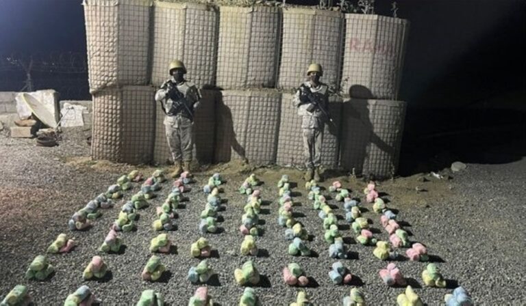 %d8%a7%d9%84%d9%82%d8%a8%d8%b6 %d8%b9%d9%84%d9%89 %d9%85%d8%b1%d9%88%d8%ac %d9%84%d9%84%d8%ad%d8%b4%d9%8a%d8%b4 %d9%88%d8%a7%d9%84%d8%a5%d9%85%d9%81%d9%8a%d8%aa%d8%a7%d9%85%d9%8a%d9%86 %d9%88%d8%a5