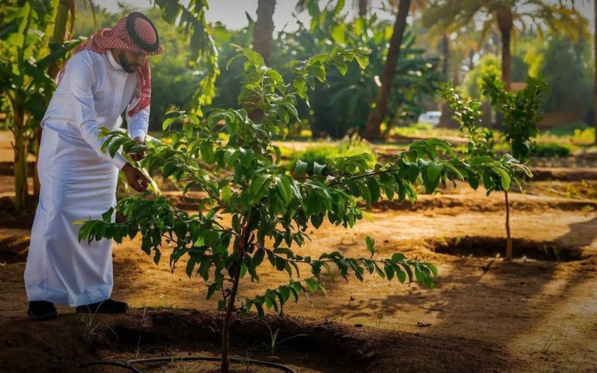 %d8%a7%d9%84%d9%86%d8%b3%d8%ae%d8%a9 %d8%a7%d9%84%d8%b1%d8%a7%d8%a8%d8%b9%d8%a9 %d9%85%d9%86 %d9%85%d9%86%d8%aa%d8%af%d9%89 %d8%a7%d9%84%d8%b3%d8%b9%d9%88%d8%af%d9%8a%d8%a9 %d8%a7%d9%84%d8%ae