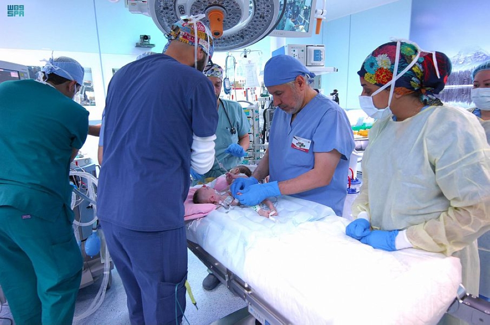 %d8%a8%d8%b7%d9%84%d8%a8 %d9%85%d9%86 %d8%a7%d9%84%d9%85%d9%85%d9%84%d9%83%d8%a9 %d9%84%d9%85%d8%a7%d8%b0%d8%a7 %d8%b3%d9%8f%d9%85%d9%89 24 %d9%86%d9%88%d9%81%d9%85%d8%a8%d8%b1 %d8%a8%d8%a7%d9%84