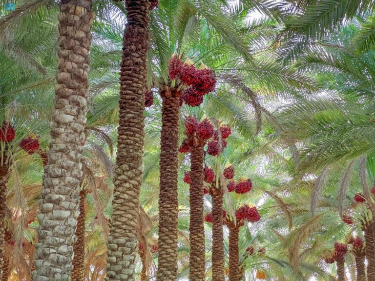 %d9%85%d8%ac%d9%84%d8%b3 %d8%a7%d9%84%d8%aa%d9%85%d9%88%d8%b1 %d8%ae%d8%a8%d8%b1%d8%a7%d8%a1 %d8%b9%d8%a7%d9%84%d9%85%d9%8a%d9%88%d9%86 %d9%8a%d8%a8%d8%ad%d8%ab%d9%88%d9%86 %d8%aa%d8%a3%d8%ab