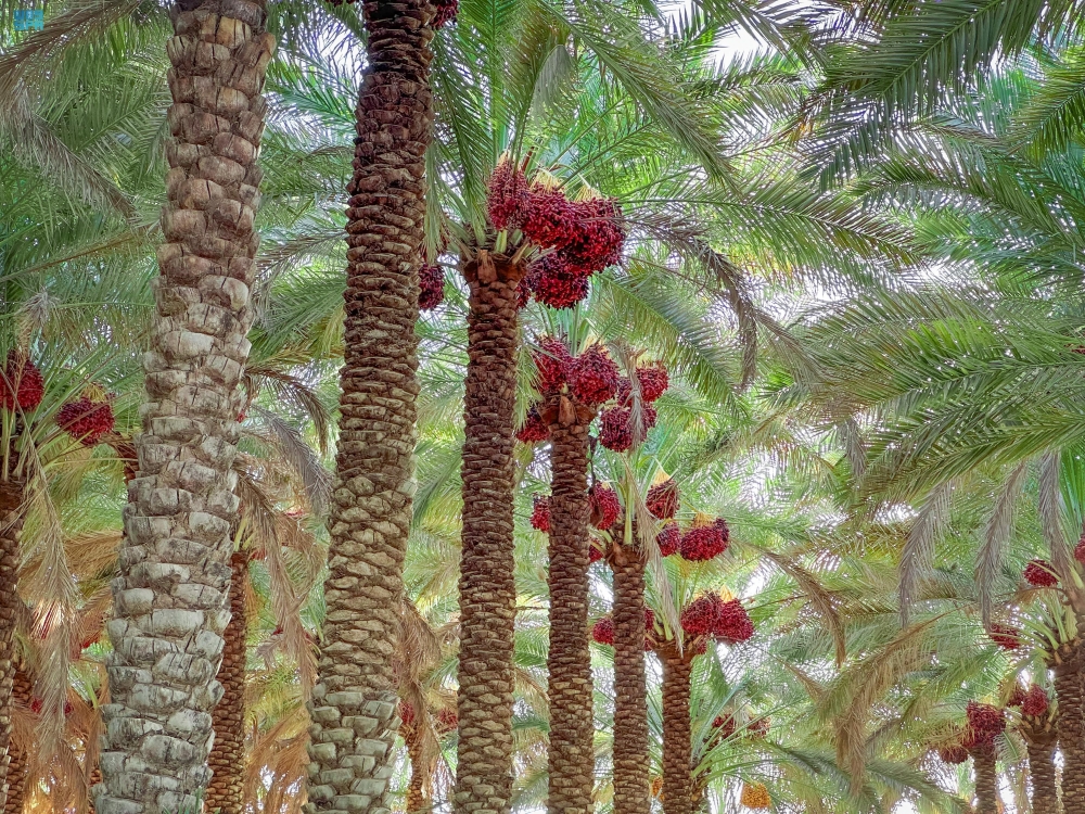 %d9%85%d8%ac%d9%84%d8%b3 %d8%a7%d9%84%d8%aa%d9%85%d9%88%d8%b1 %d8%ae%d8%a8%d8%b1%d8%a7%d8%a1 %d8%b9%d8%a7%d9%84%d9%85%d9%8a%d9%88%d9%86 %d9%8a%d8%a8%d8%ad%d8%ab%d9%88%d9%86 %d8%aa%d8%a3%d8%ab