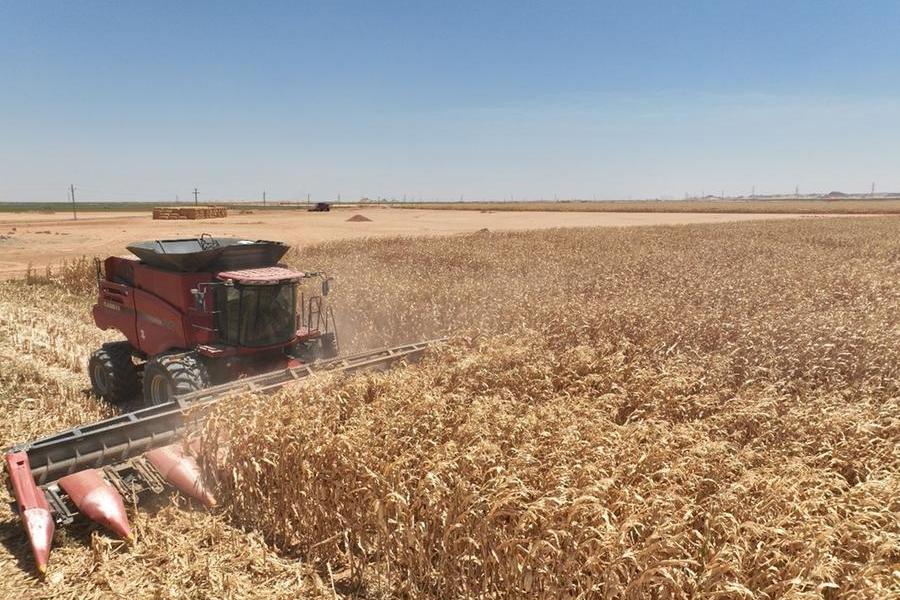 %d8%b4%d8%b1%d9%83%d8%a9 %d8%a7%d9%84%d8%b8%d8%a7%d9%87%d8%b1%d8%a9 %d8%a7%d9%84%d8%b2%d8%b1%d8%a7%d8%b9%d9%8a%d8%a9 %d8%aa%d8%b3%d8%aa%d9%87%d8%af%d9%81 %d8%a7%d9%84%d8%a7%d8%b3%d8%aa%d8%ad%d9%88